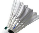 Champion1134 - Feather Shuttlecocks